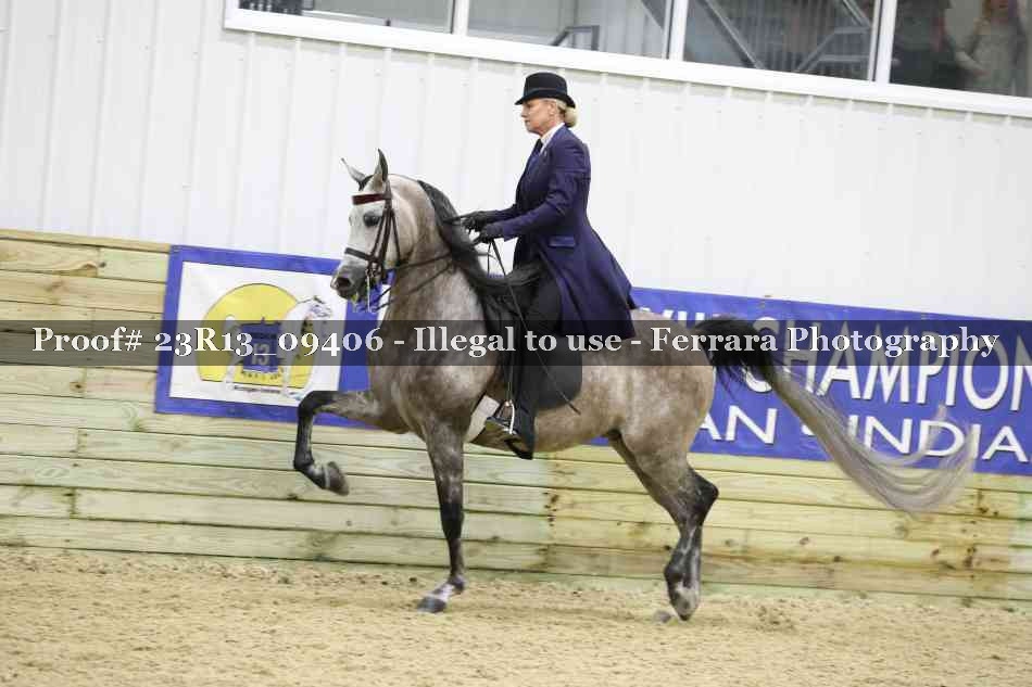 Proof Number 23R13_09406