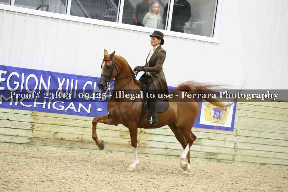 Proof Number 23R13_09425