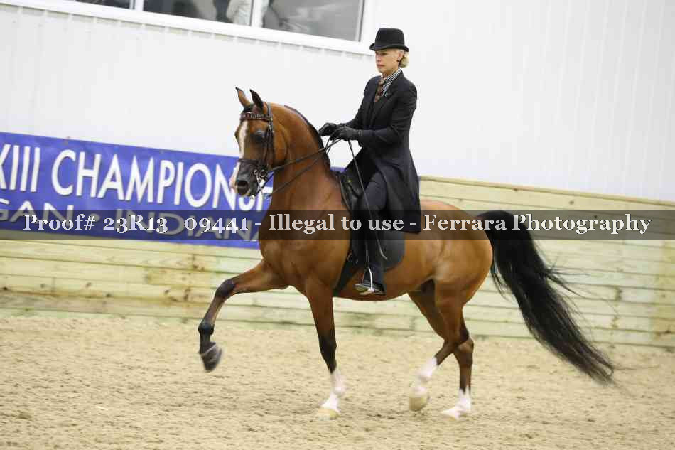 Proof Number 23R13_09441