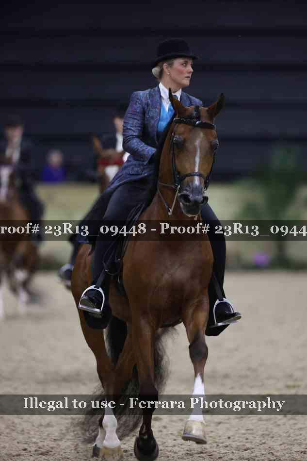 Proof Number 23R13_09448