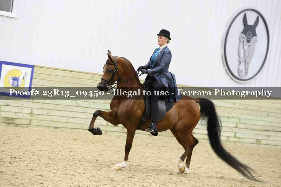 Proof Number 23R13_09450