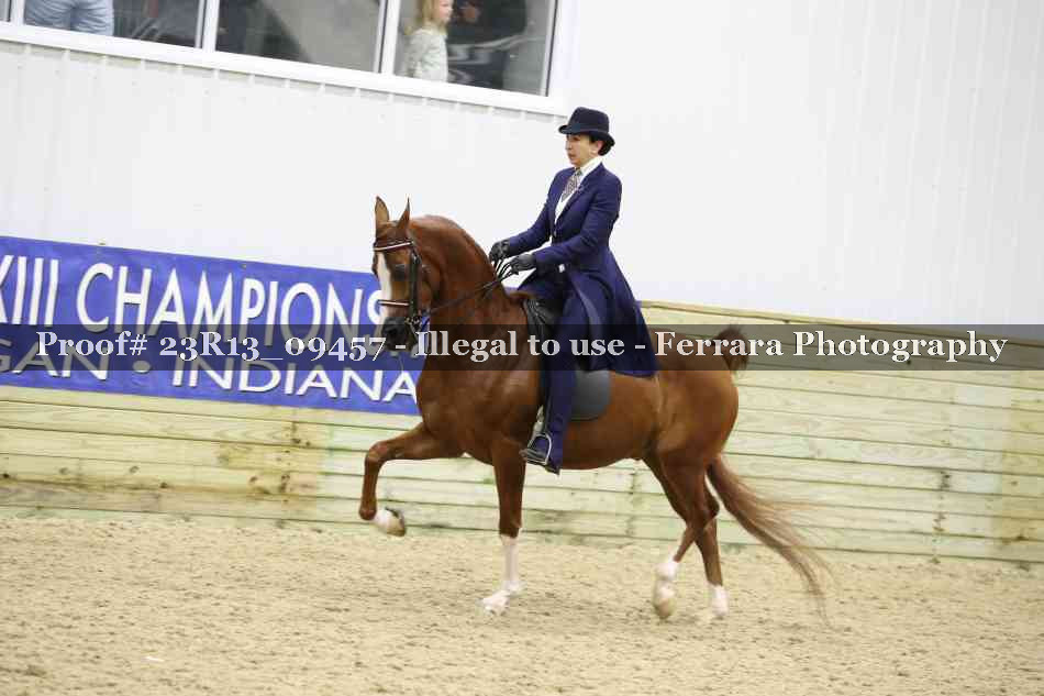 Proof Number 23R13_09457