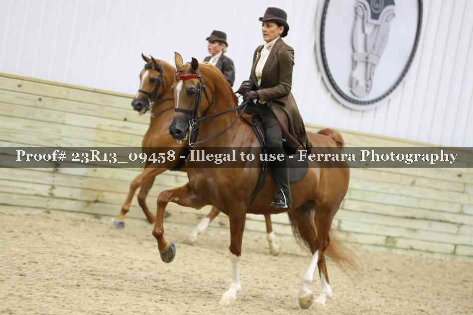 Proof Number 23R13_09458