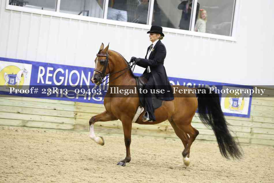 Proof Number 23R13_09463