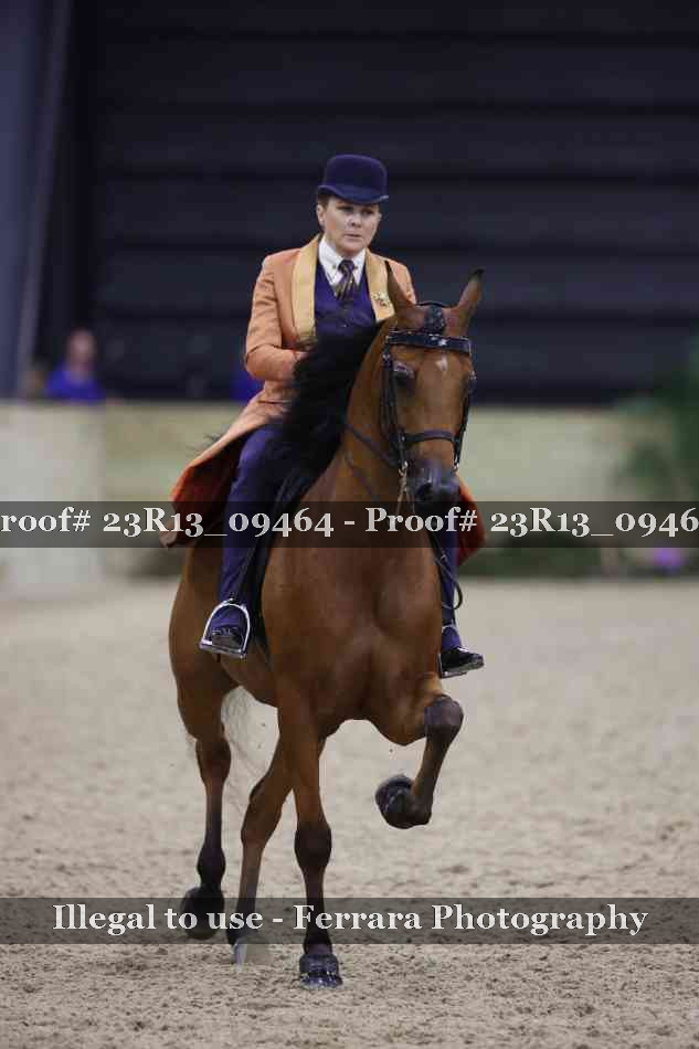 Proof Number 23R13_09464