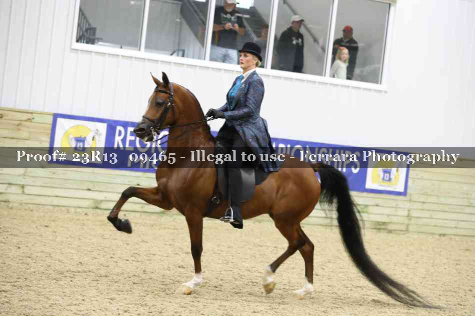 Proof Number 23R13_09465