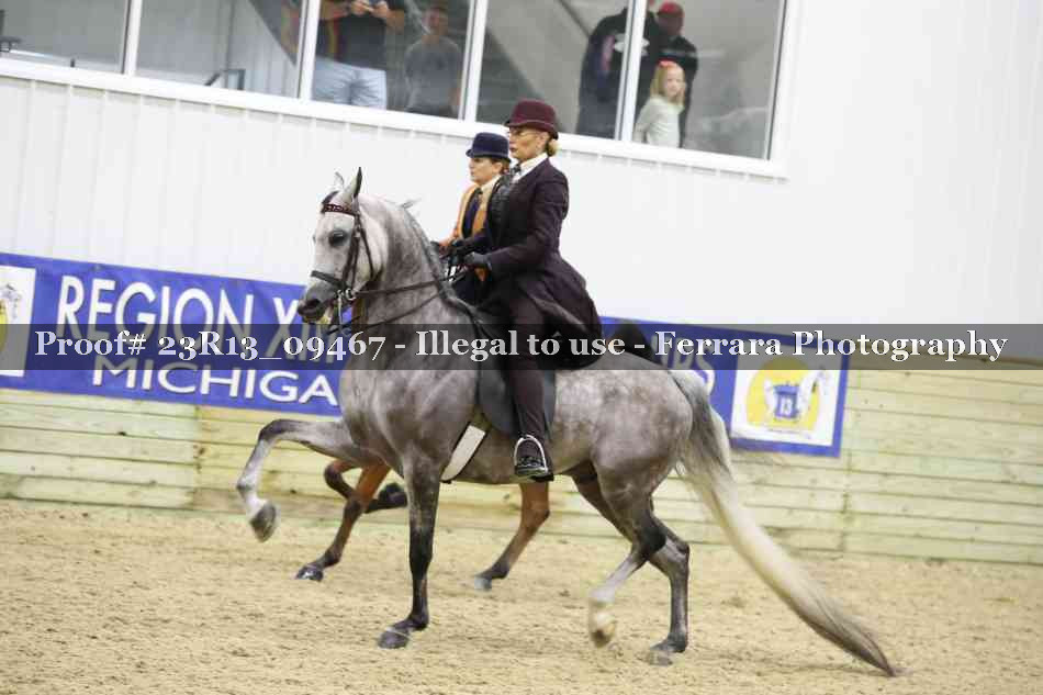 Proof Number 23R13_09467