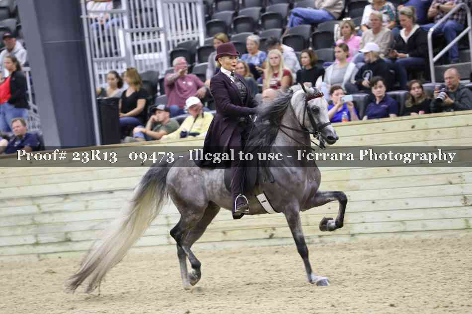 Proof Number 23R13_09473