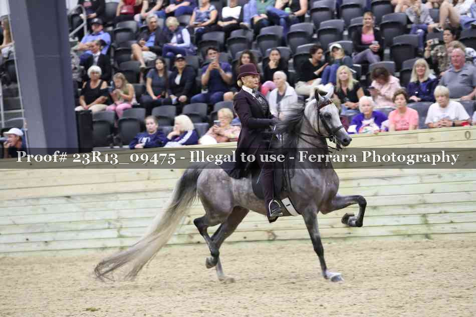 Proof Number 23R13_09475