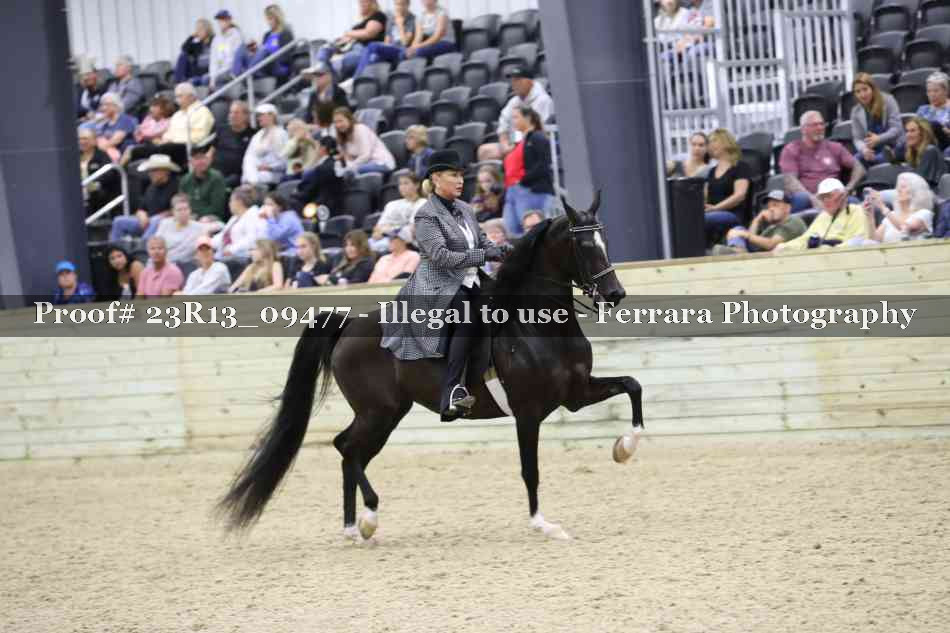 Proof Number 23R13_09477