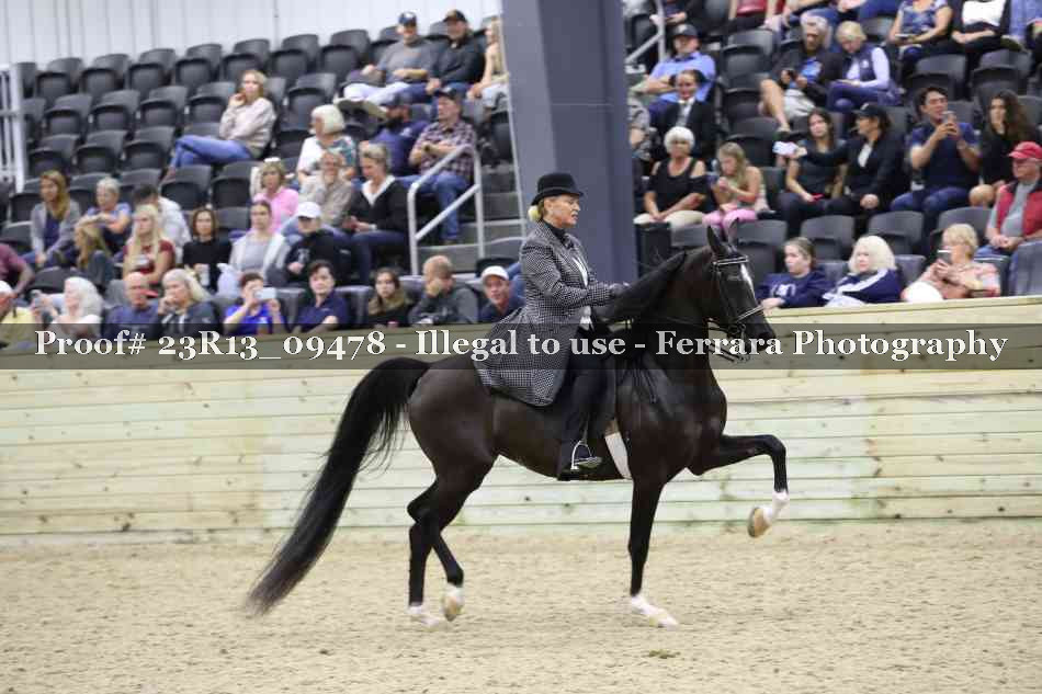 Proof Number 23R13_09478