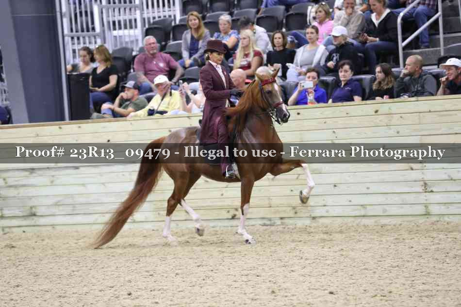 Proof Number 23R13_09479
