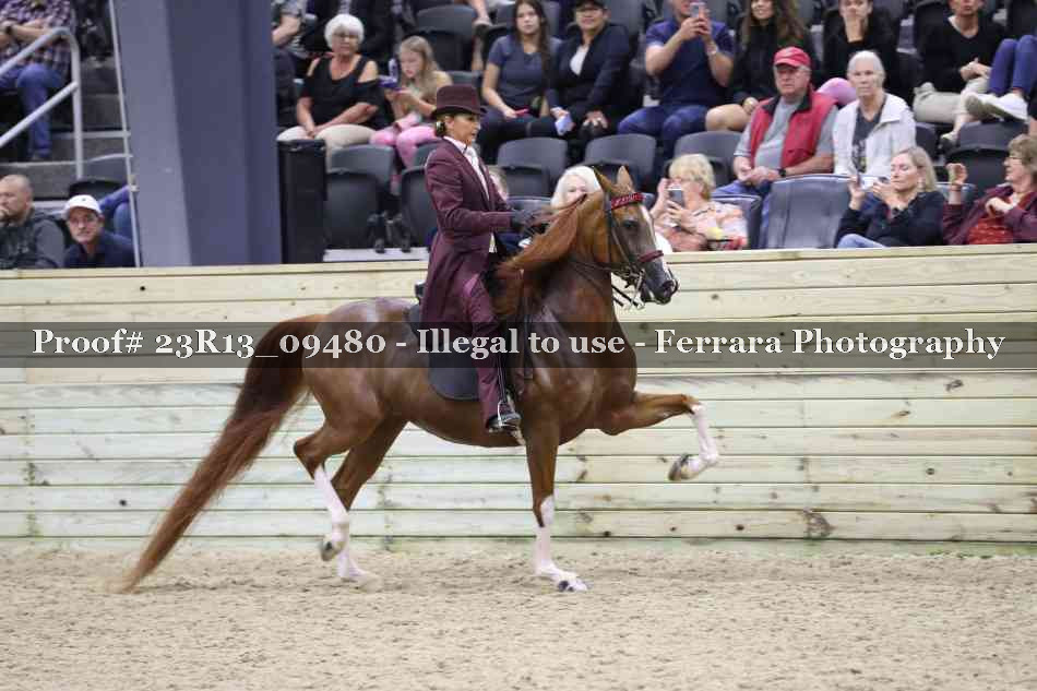 Proof Number 23R13_09480