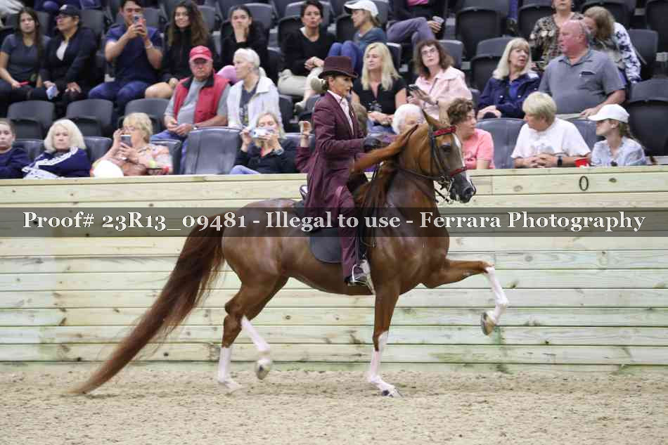 Proof Number 23R13_09481