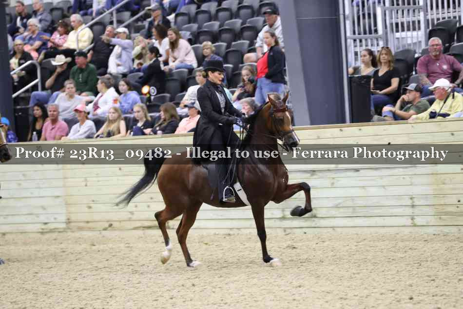Proof Number 23R13_09482