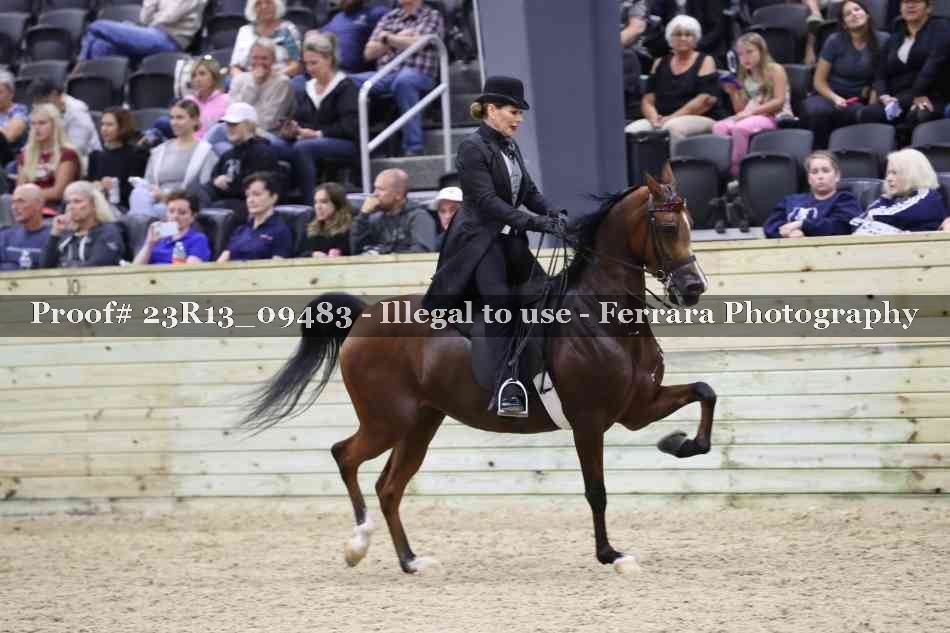 Proof Number 23R13_09483