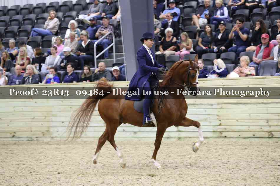 Proof Number 23R13_09484