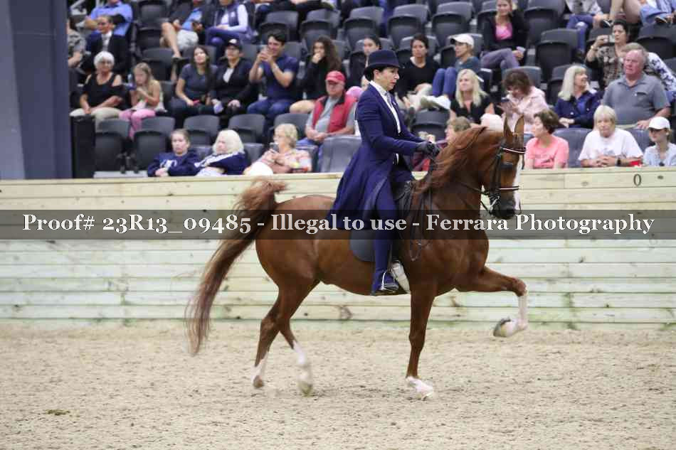 Proof Number 23R13_09485