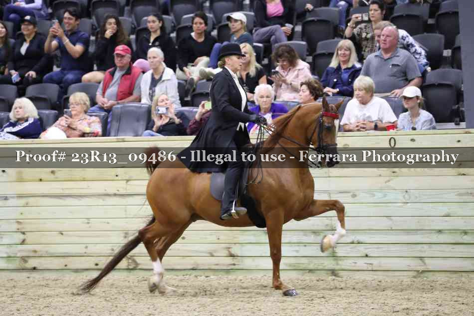 Proof Number 23R13_09486