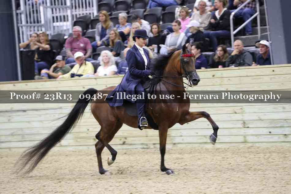 Proof Number 23R13_09487