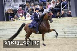23R13_09487 thumbnail