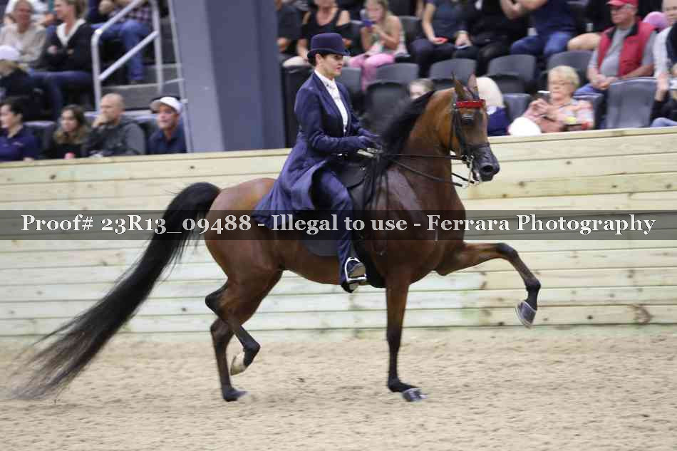 Proof Number 23R13_09488