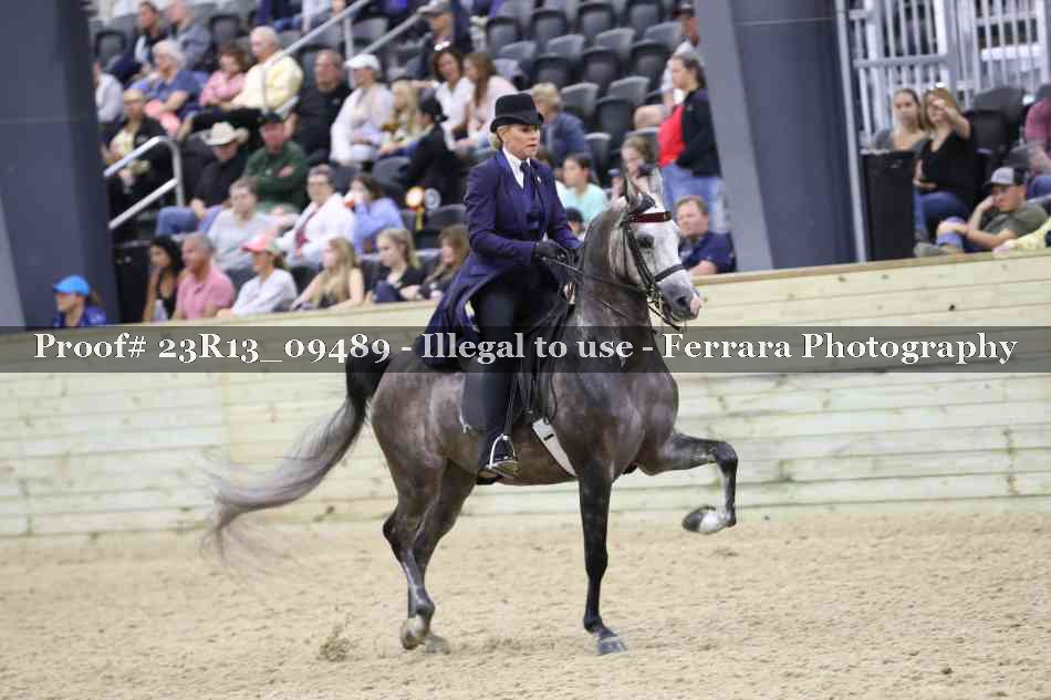 Proof Number 23R13_09489