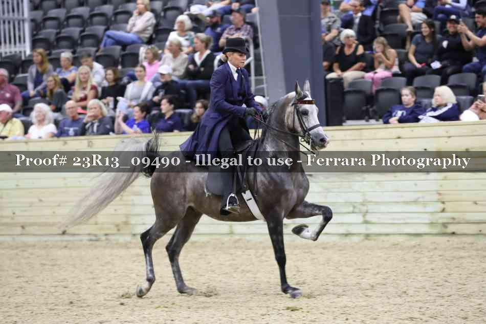 Proof Number 23R13_09490