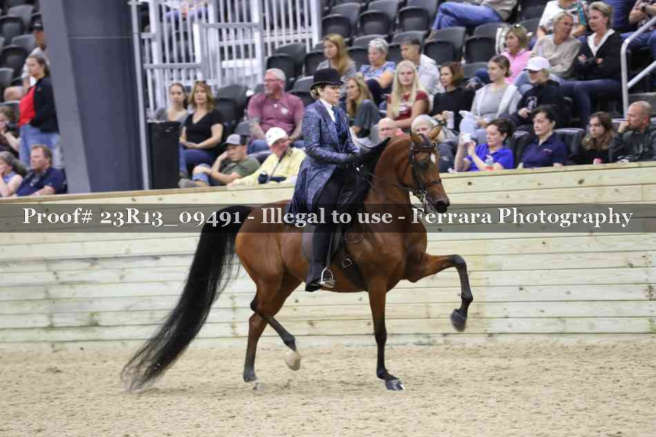 Proof Number 23R13_09491