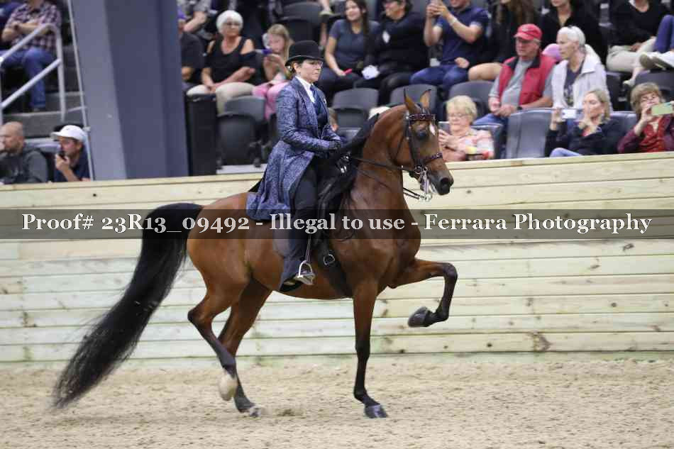 Proof Number 23R13_09492