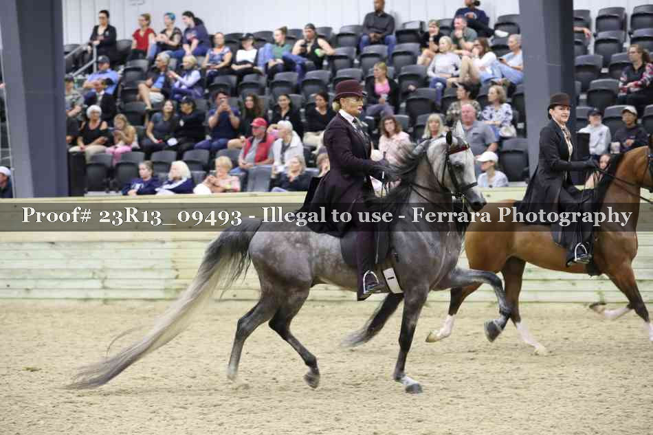 Proof Number 23R13_09493
