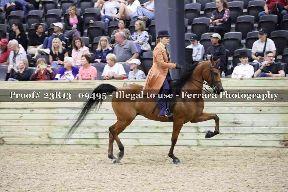 Proof Number 23R13_09495