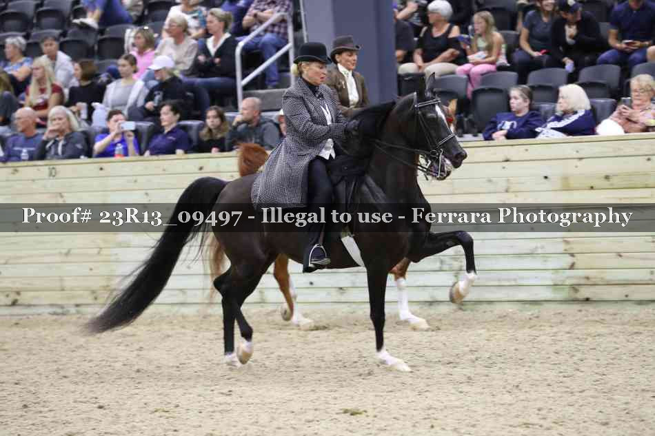 Proof Number 23R13_09497