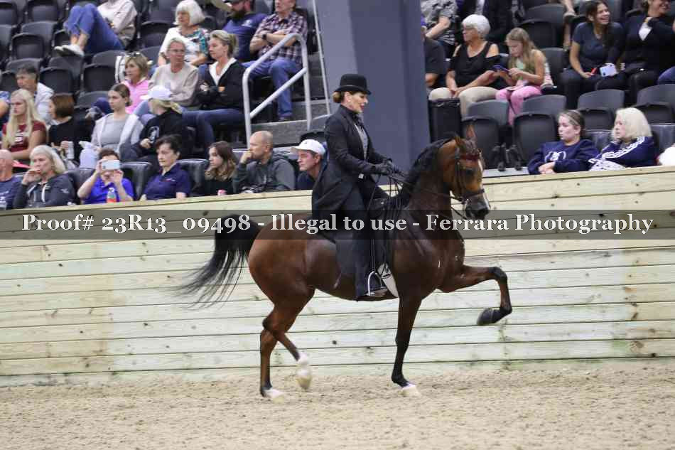 Proof Number 23R13_09498