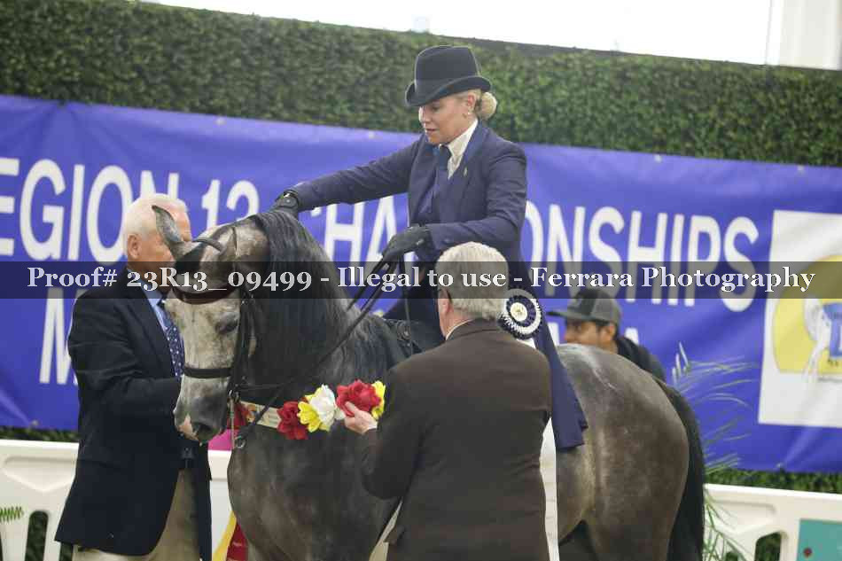 Proof Number 23R13_09499