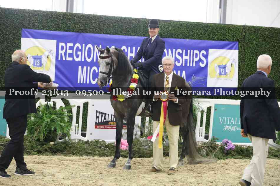 Proof Number 23R13_09500