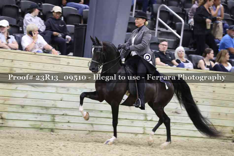 Proof Number 23R13_09510