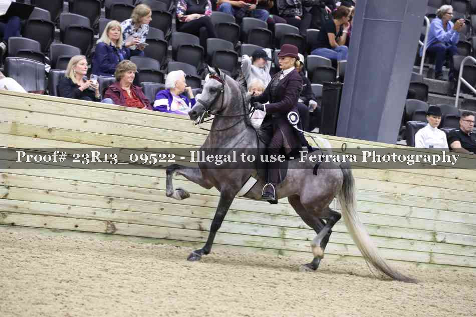 Proof Number 23R13_09522