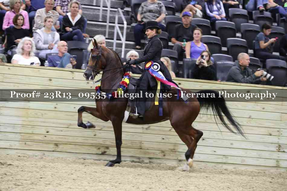 Proof Number 23R13_09535
