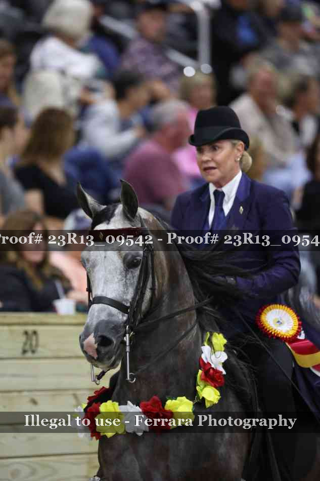 Proof Number 23R13_09542