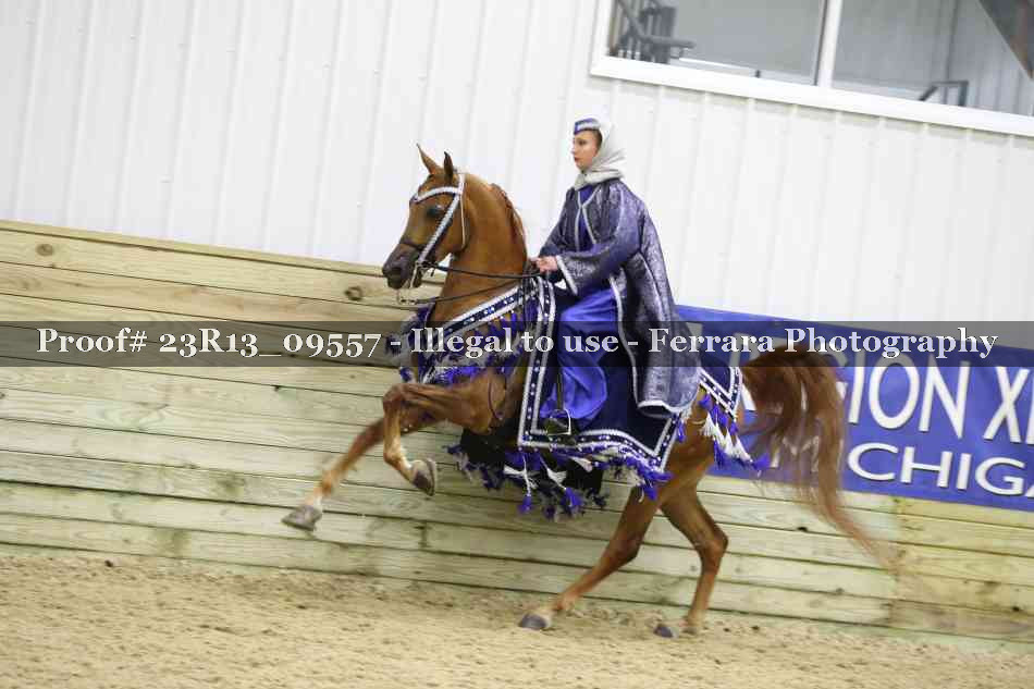 Proof Number 23R13_09557