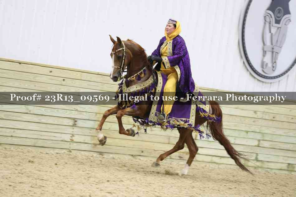 Proof Number 23R13_09569