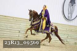 23R13_09569 thumbnail