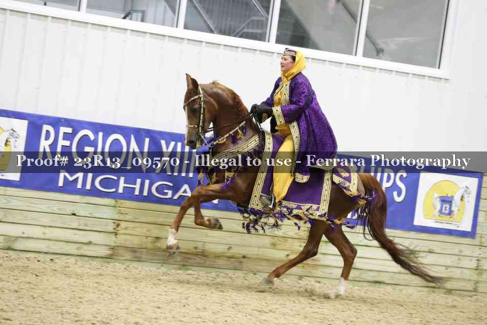 Proof Number 23R13_09570