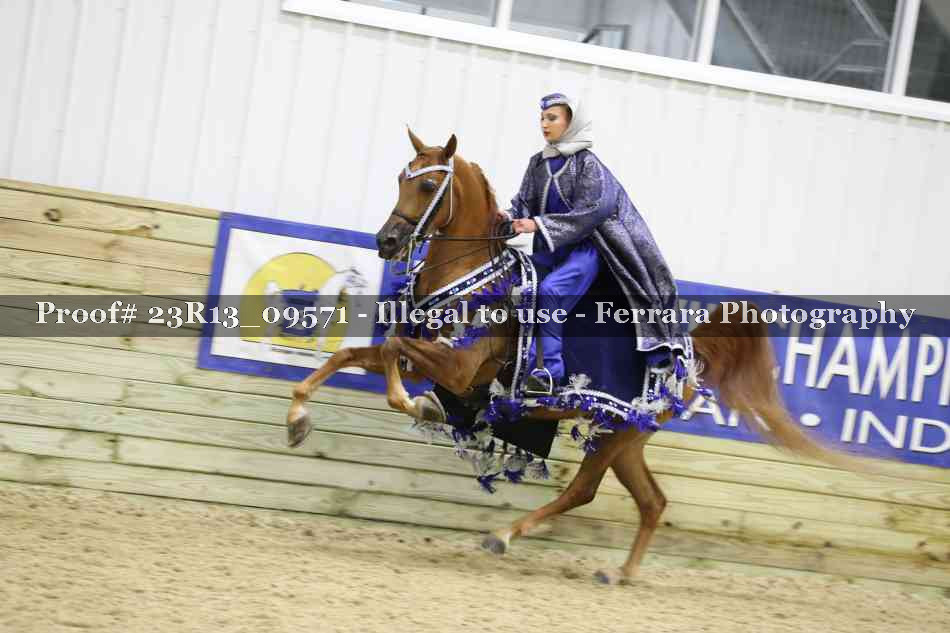 Proof Number 23R13_09571