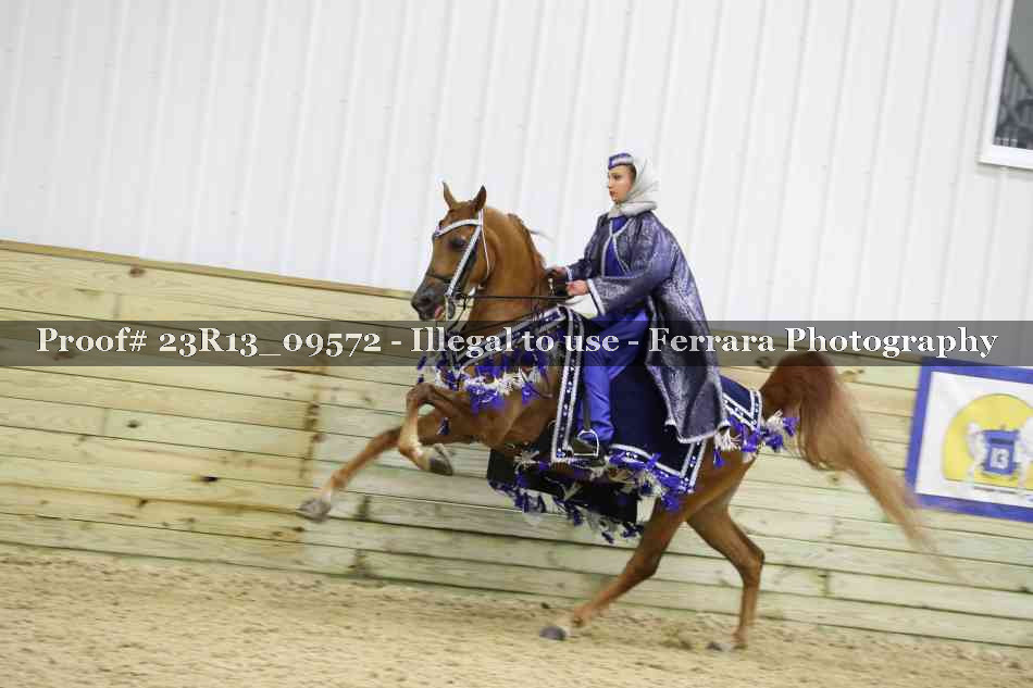 Proof Number 23R13_09572