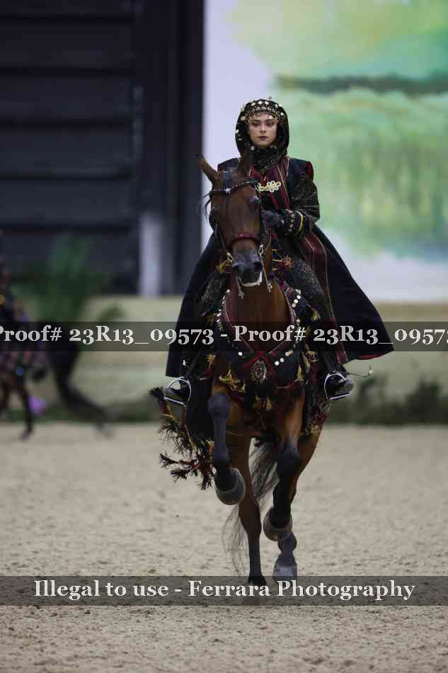 Proof Number 23R13_09573