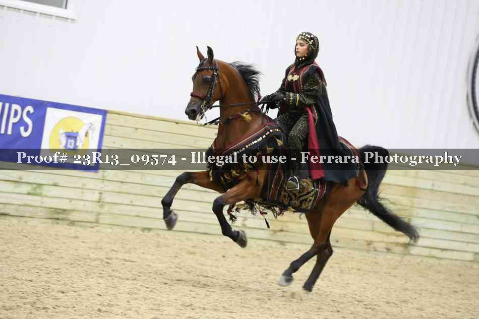 Proof Number 23R13_09574