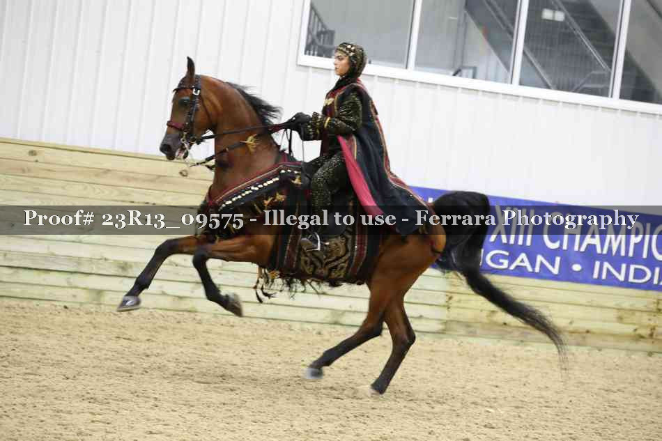Proof Number 23R13_09575