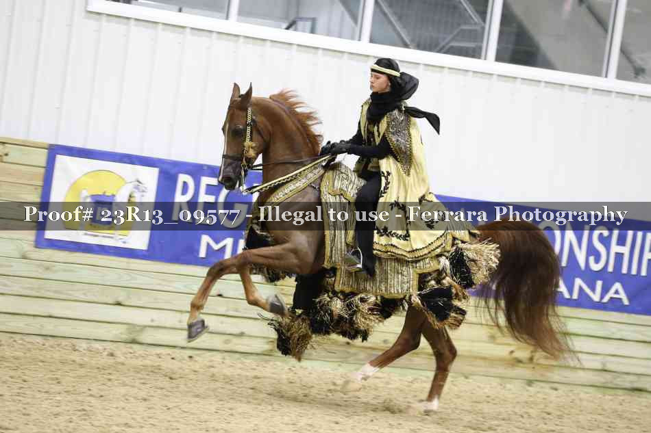 Proof Number 23R13_09577